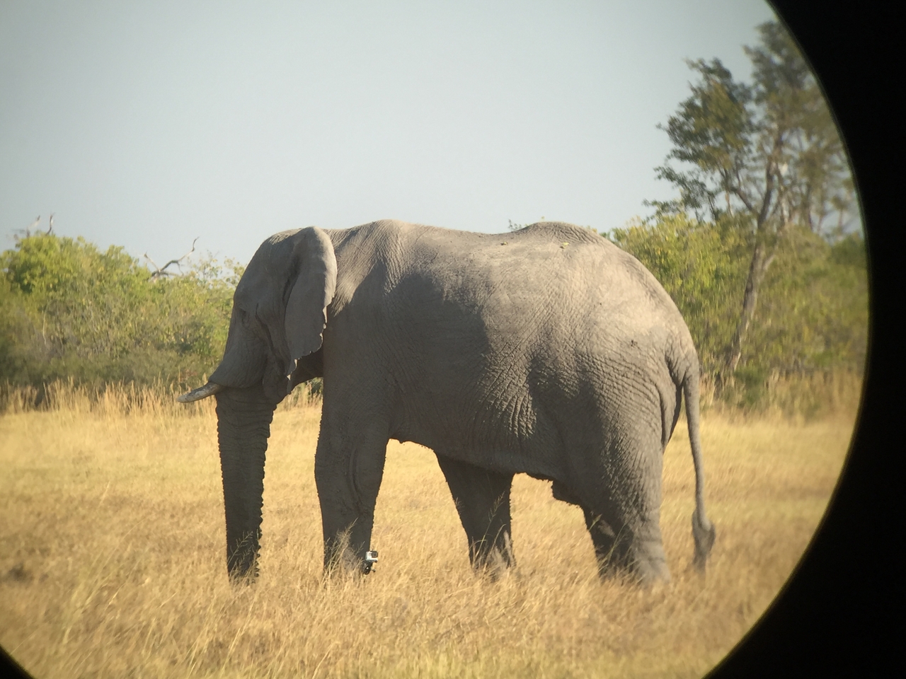 [26374] 2016_06_30_16_09_53_Africa_iPhone_6_IMG_8604_03468.jpg