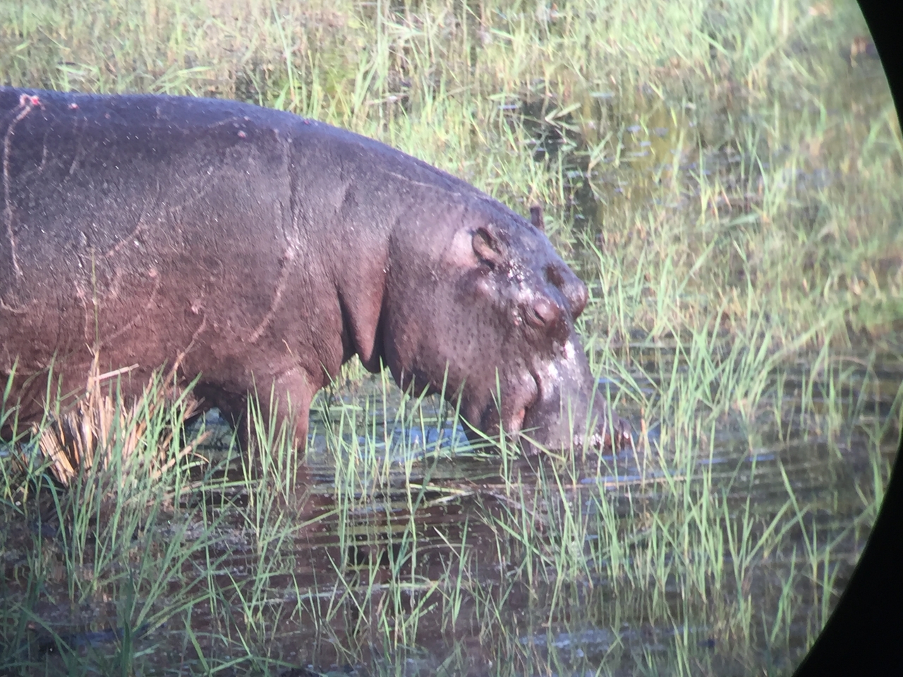 [27956] 2016_07_02_08_43_08_Africa_iPhone_6_IMG_8730_03577.jpg