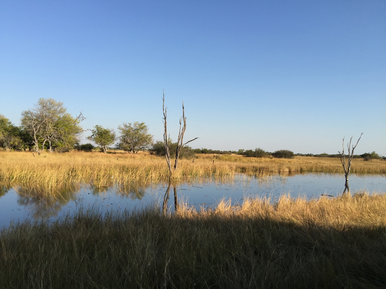 [26614] 2016_06_30_16_32_03_Africa_iPhone_6_Plus_IMG_4002_00489.jpg