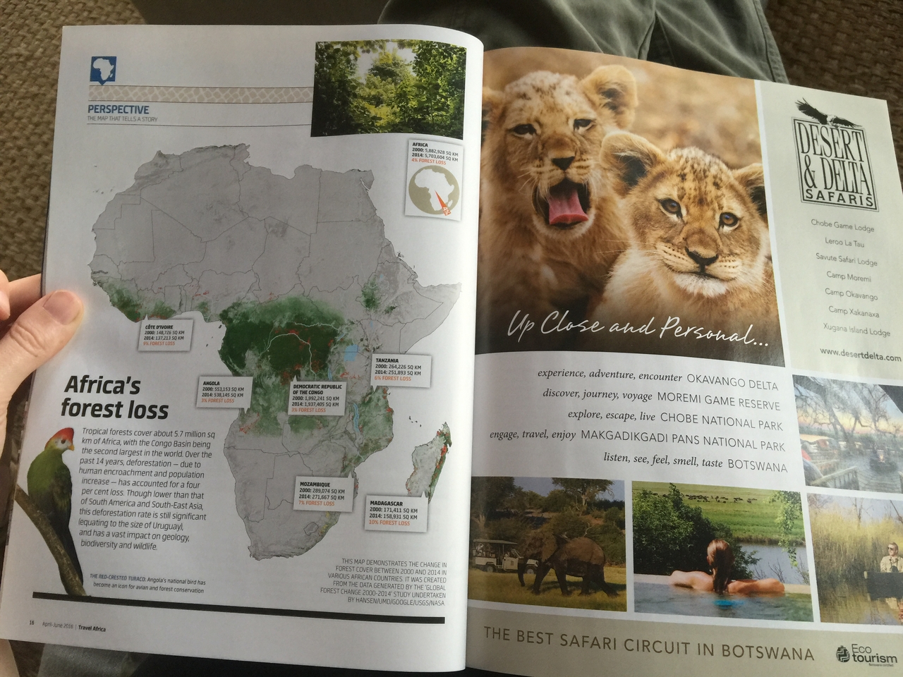 [27110] 2016_07_01_14_39_44_Africa_iPhone_6_Plus_IMG_4099_00536.jpg
