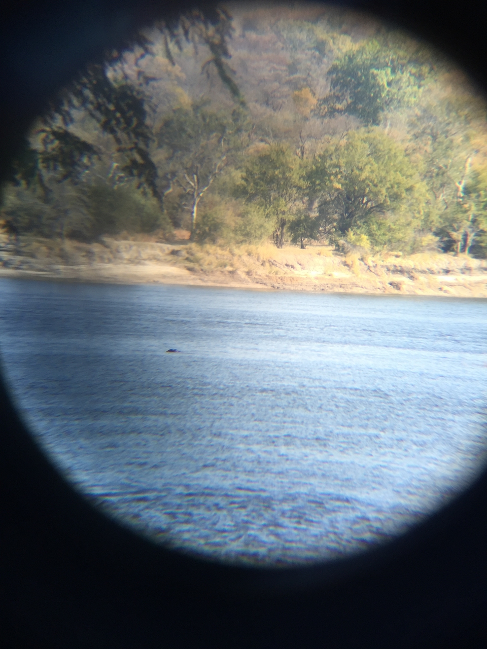 [28772] 2016_07_02_15_28_18_Africa_iPhone_6_Plus_IMG_4788_07252.jpg