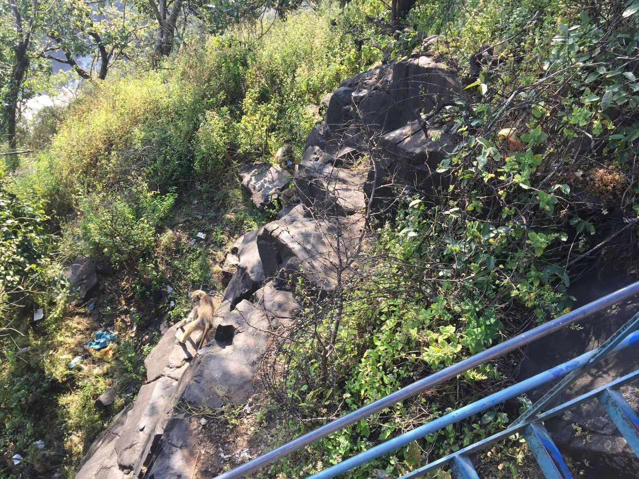 [31911] 2016_07_03_09_51_02_Africa_iPhone_6_Plus_IMG_4896_00261.jpg