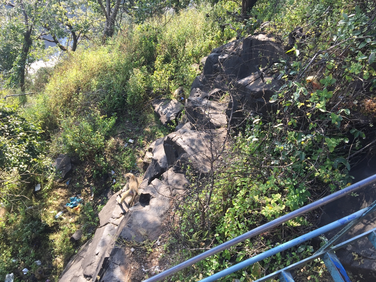 [31916] 2016_07_03_09_51_04_Africa_iPhone_6_Plus_IMG_4897_07334.jpg