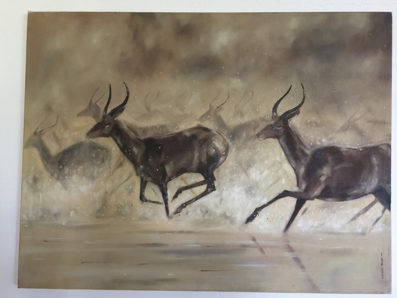 [34246] 2016_07_04_12_21_54_Africa_iPhone_6_Plus_IMG_5002_00834.jpg