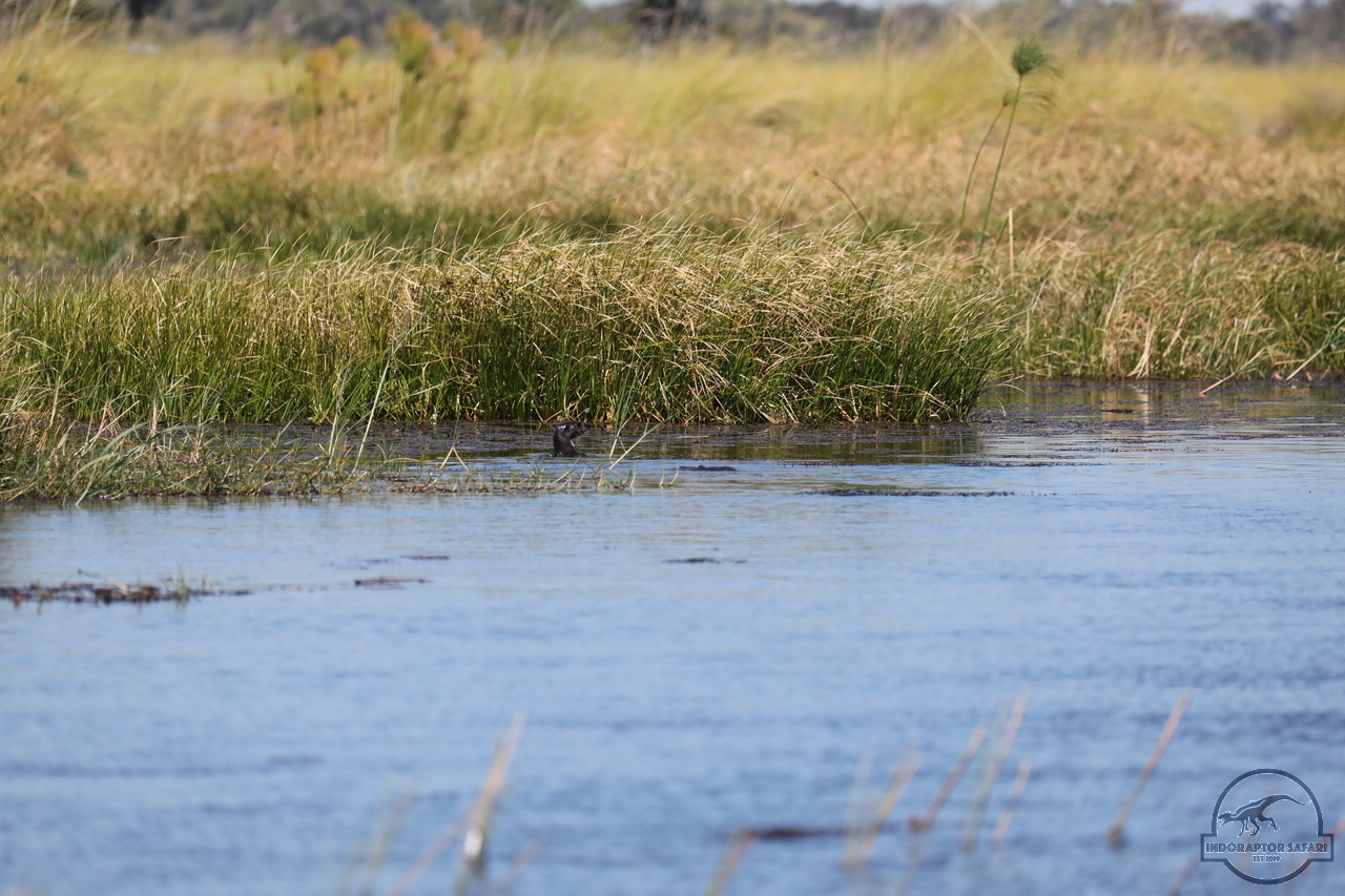 [1178] 2019_06_21_17_32_05_Africa_Canon_EOS_5D_Mark_IV_IMG_0004047_00521.jpg
