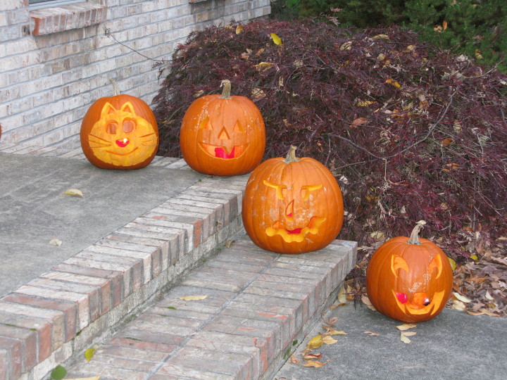 Halloween Pumpkins | 31 October 2011 |  Mon, 31 Oct 2011 | 5:28:33 PM