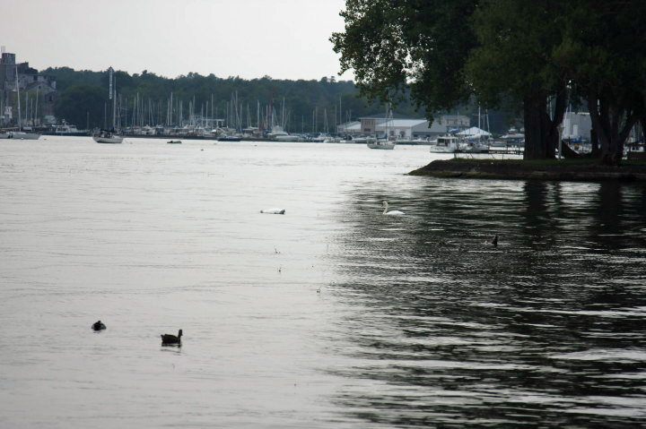 Labor Day Weekend at Sodus Point, NY |  Sun, 4 Sep 2011 | 3:30:21 PM