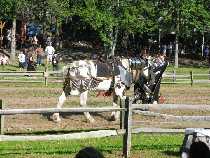 Sterling Renaissance Festival