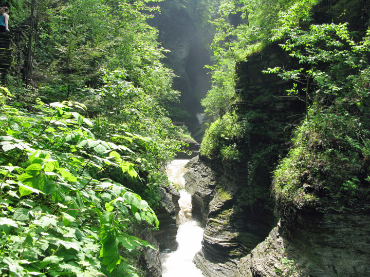 Watkins Glen State Park