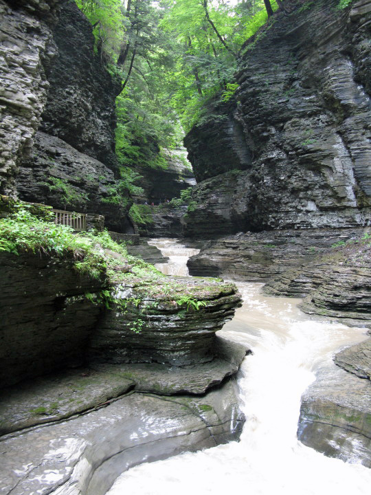 Watkins Glen State Park