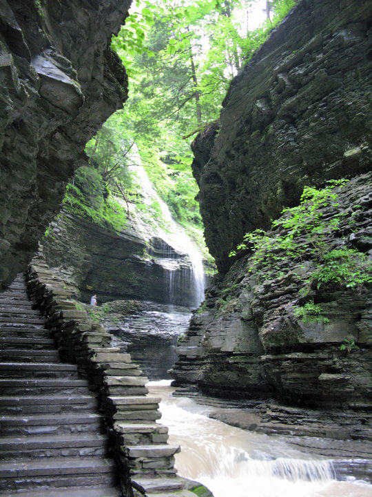 Watkins Glen State Park