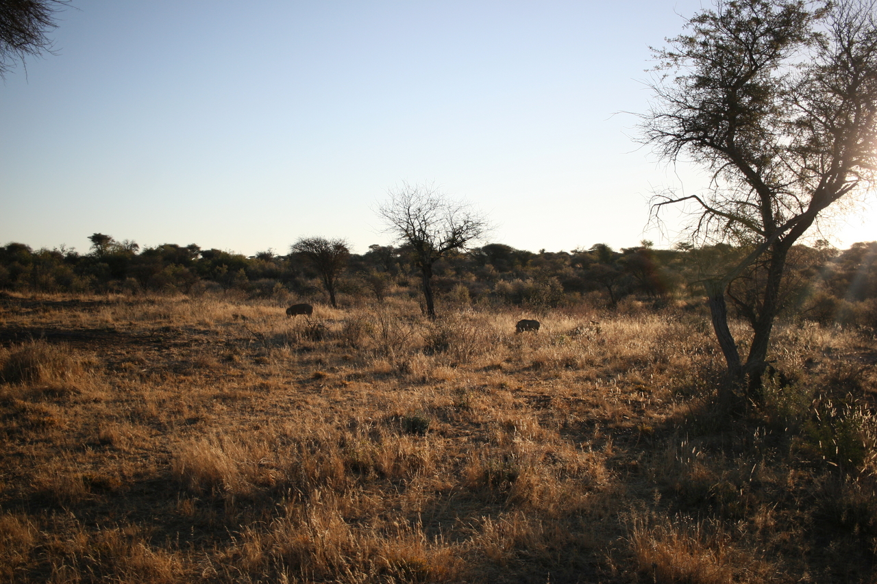 [589] 2016_06_22_02_16_13_Africa_Canon_EOS_30D_IMG_1754_00200.jpg