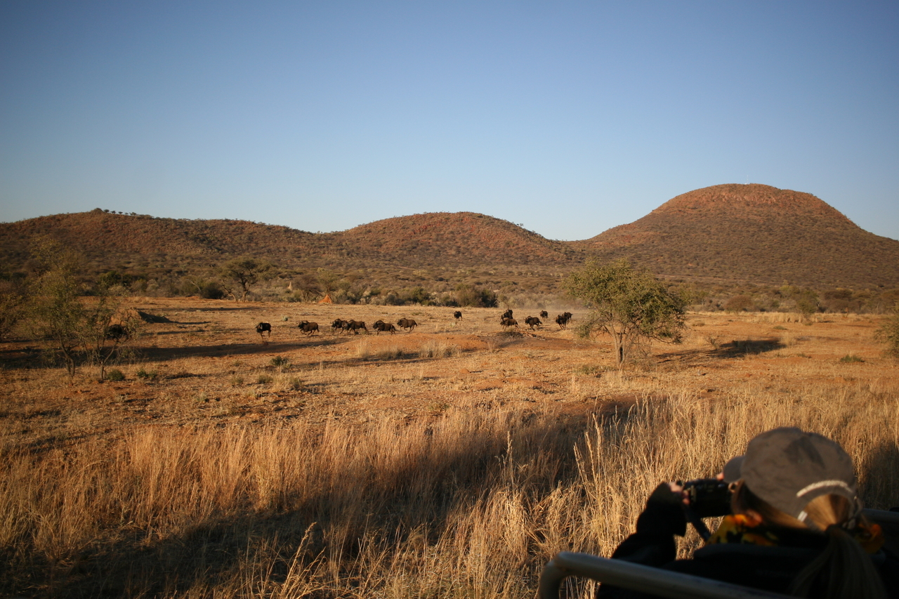 [633] 2016_06_22_02_18_13_Africa_Canon_EOS_30D_IMG_1755_00201.jpg