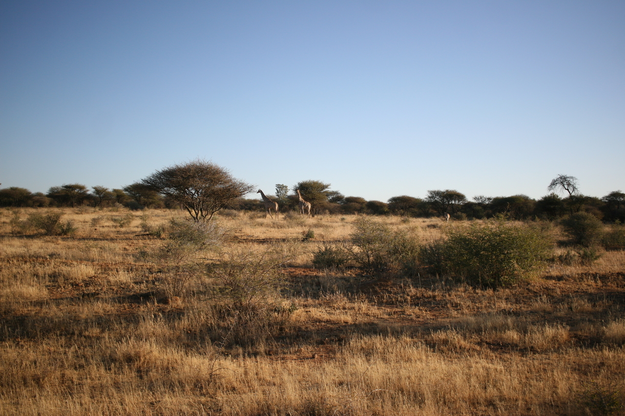 [685] 2016_06_22_02_30_40_Africa_Canon_EOS_30D_IMG_1766_00212.jpg