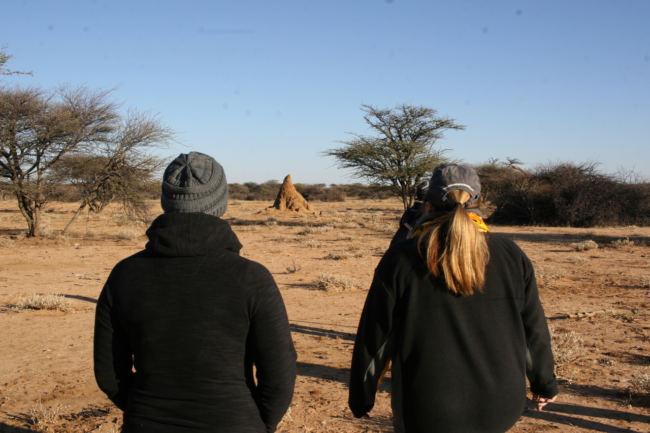 [1162] 2016_06_22_02_55_20_Africa_Canon_EOS_30D_IMG_1772_00218.jpg