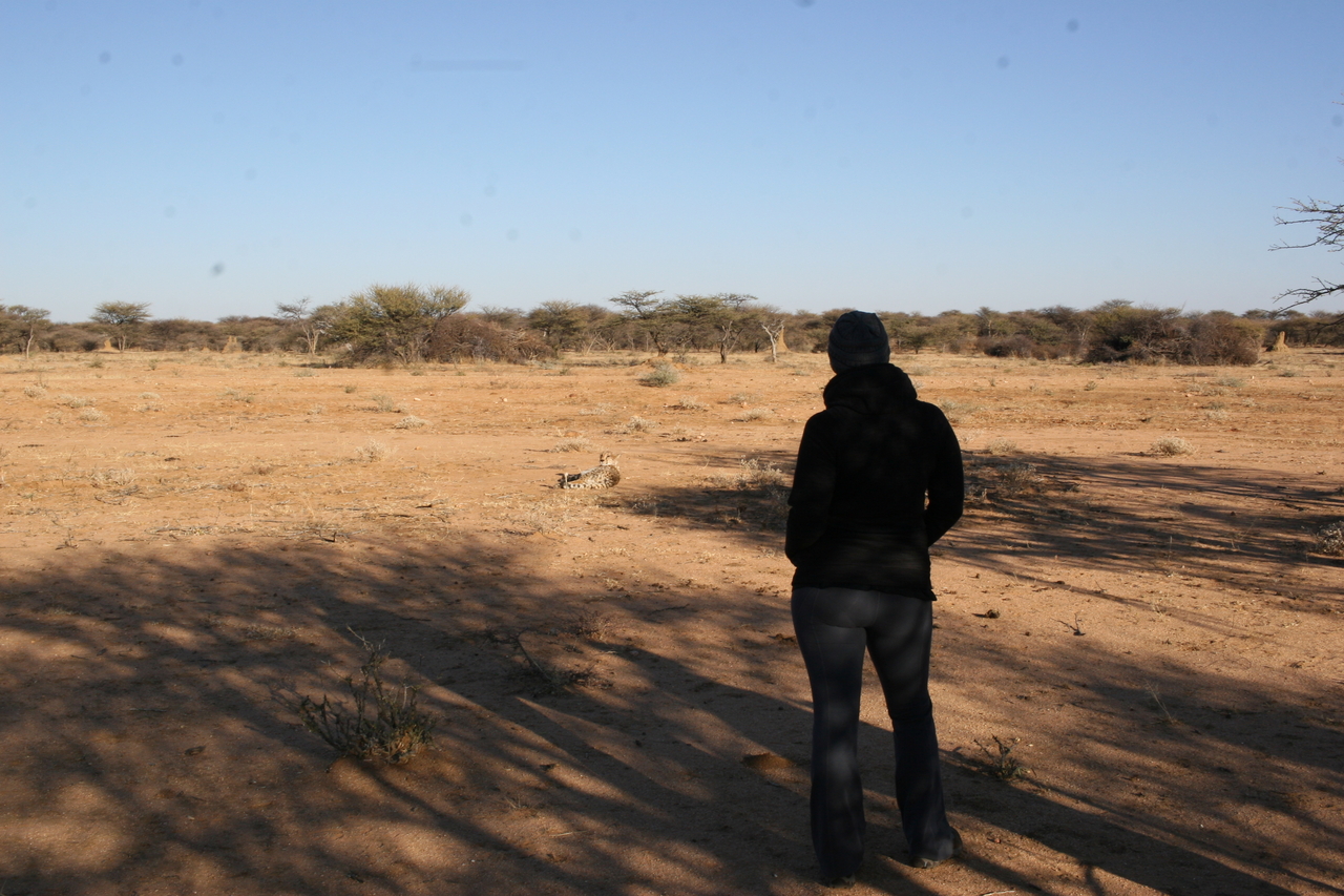 [1293] 2016_06_22_03_01_05_Africa_Canon_EOS_30D_IMG_1777_00223.jpg