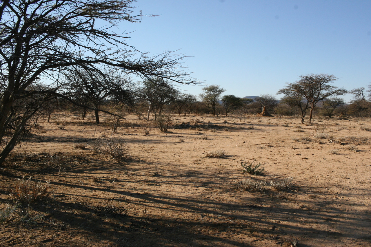 [1563] 2016_06_22_03_11_59_Africa_Canon_EOS_30D_IMG_1781_00227.jpg