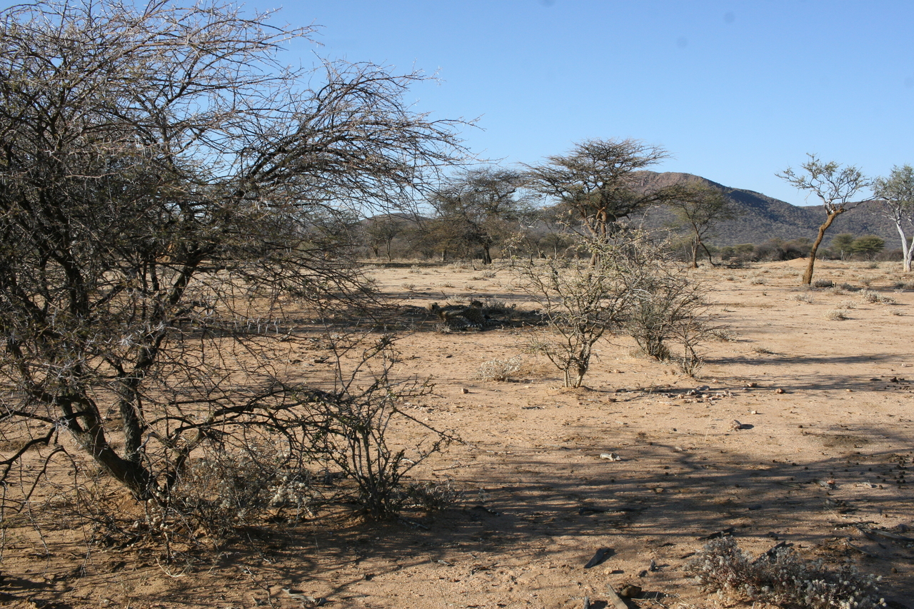 [1591] 2016_06_22_03_13_03_Africa_Canon_EOS_30D_IMG_1786_00232.jpg
