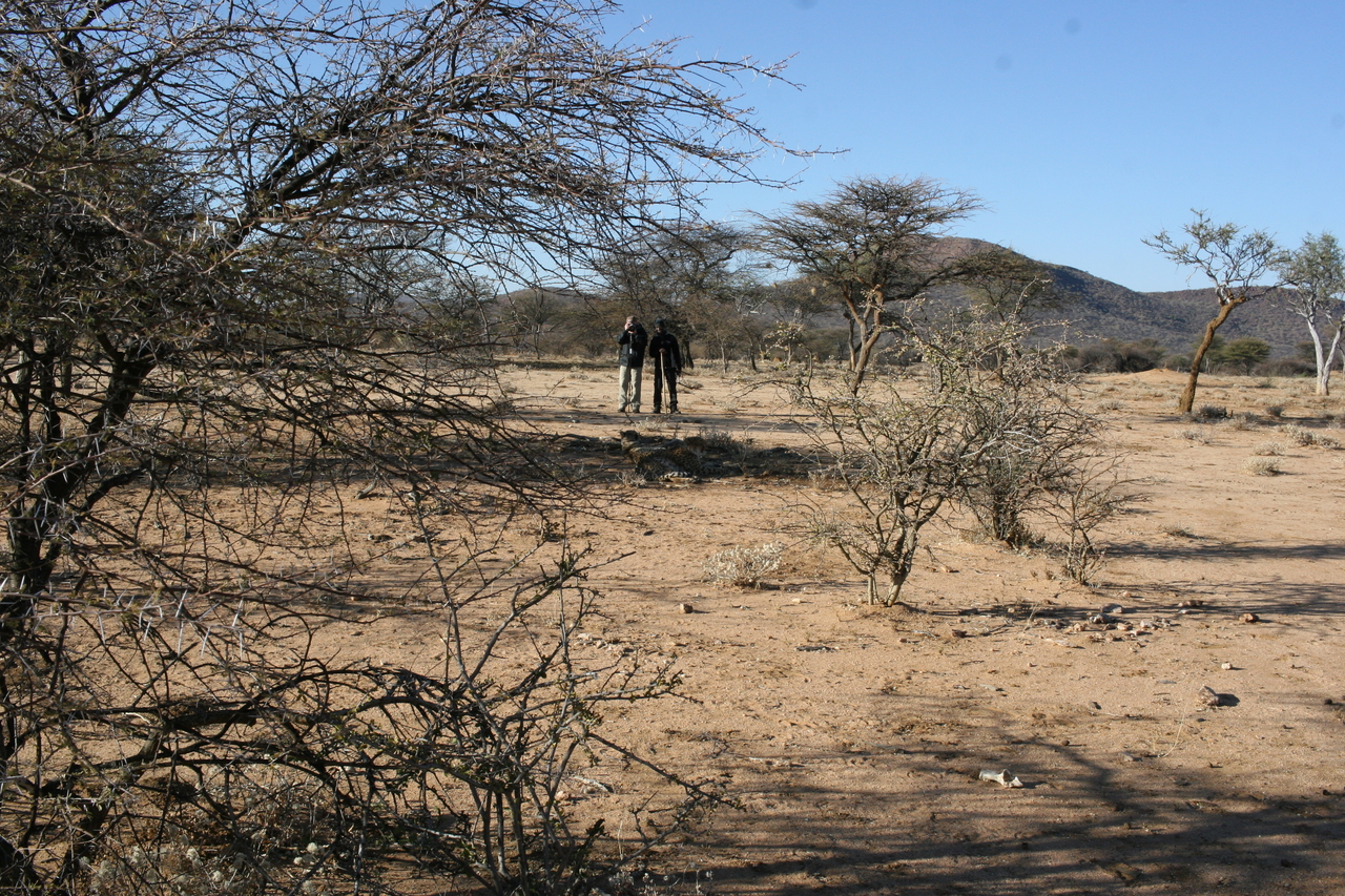 [1645] 2016_06_22_03_17_18_Africa_Canon_EOS_30D_IMG_1789_00056.jpg