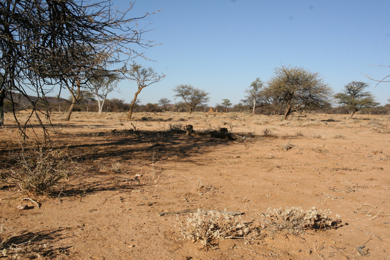 [1779] 2016_06_22_03_20_39_Africa_Canon_EOS_30D_IMG_1791_00237.jpg