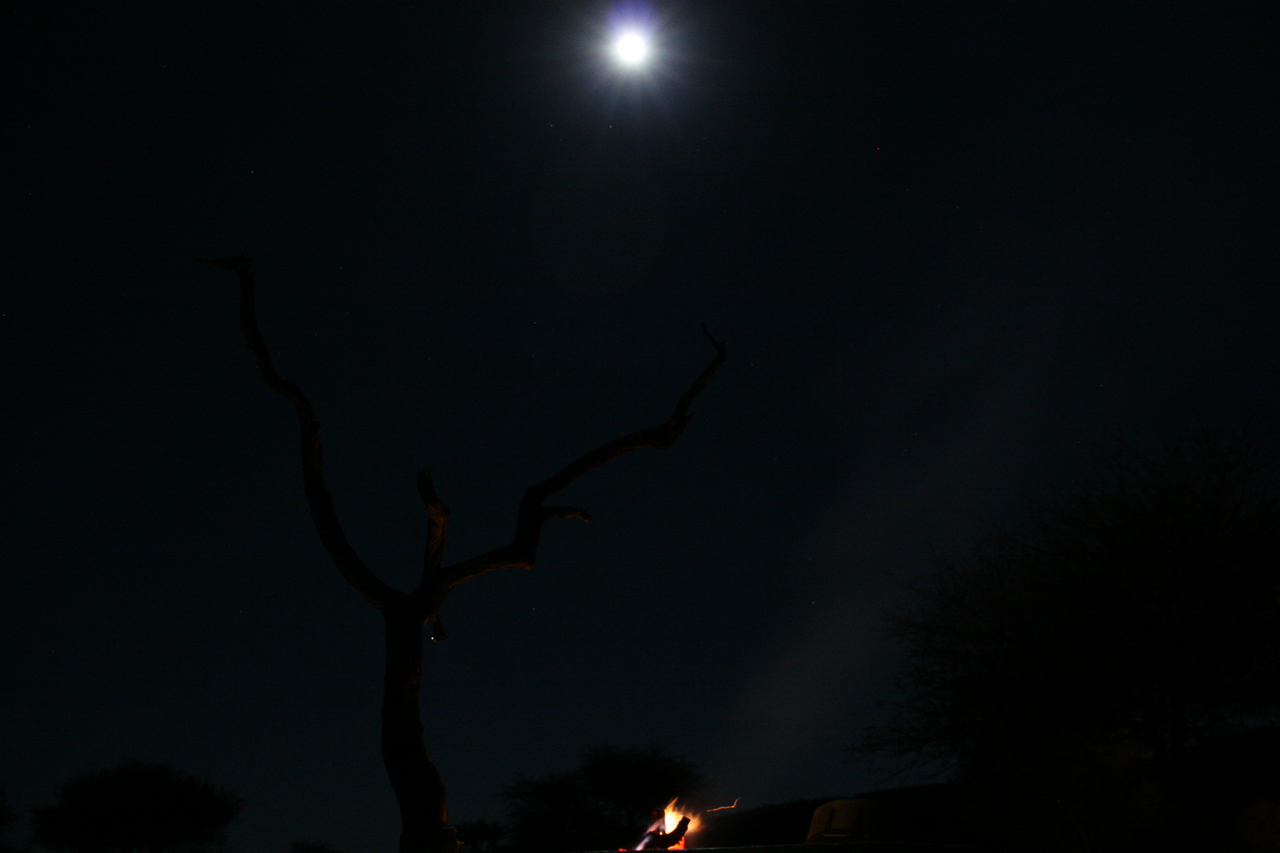[3681] 2016_06_22_17_12_38_Africa_Canon_EOS_30D_IMG_1805_00249.jpg