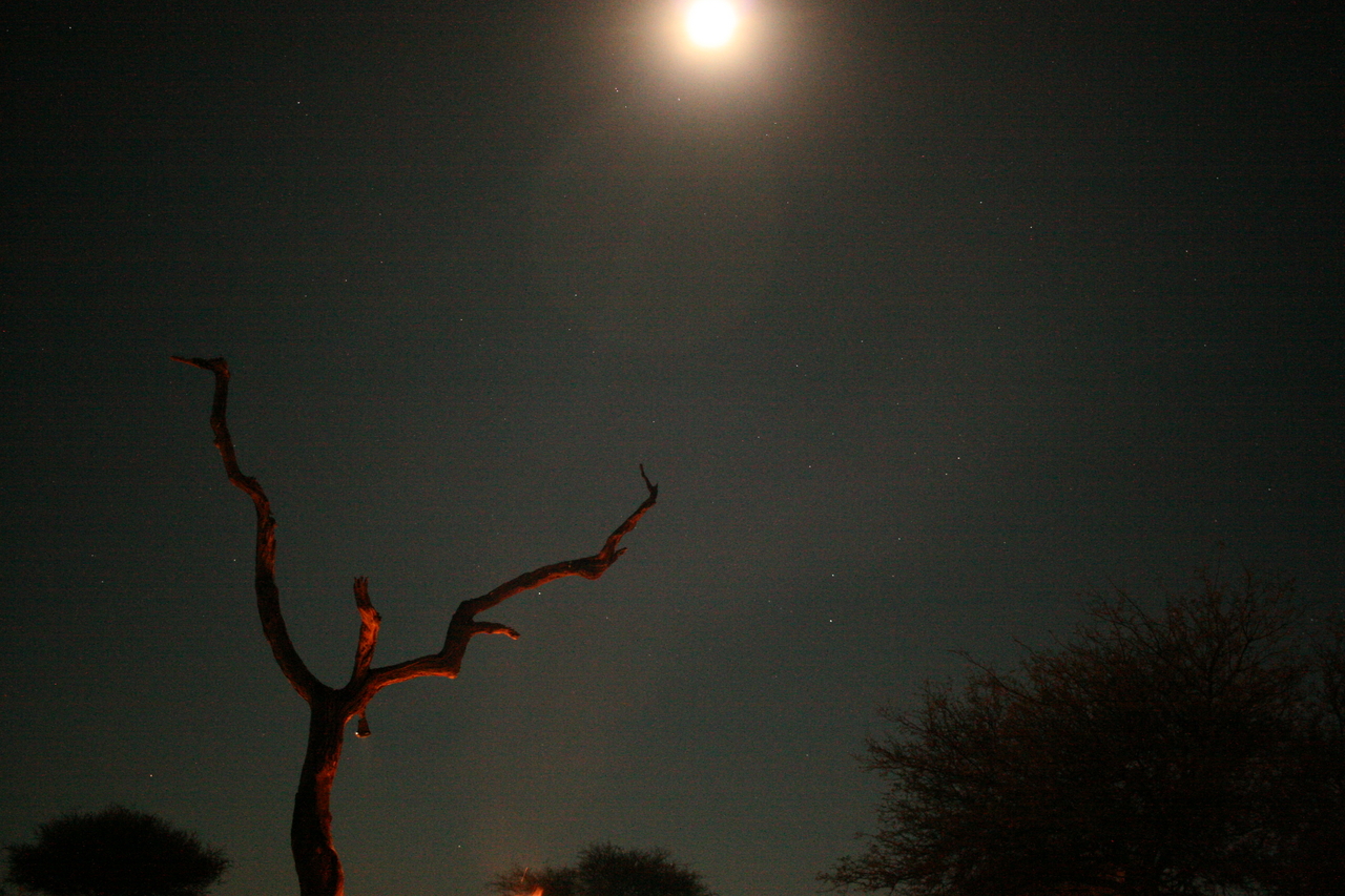 [3715] 2016_06_22_17_28_13_Africa_Canon_EOS_30D_IMG_1815_00259.jpg