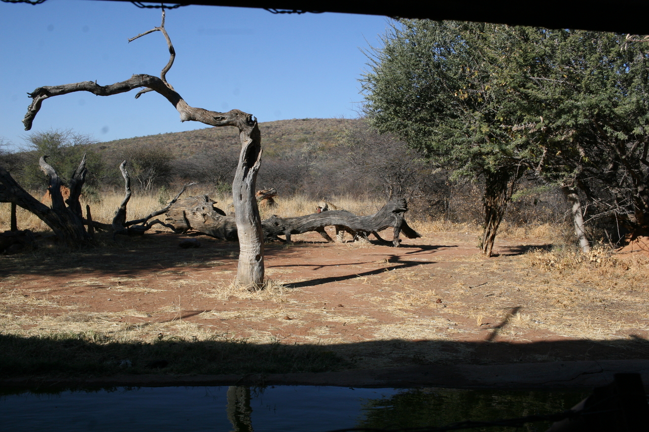 [5960] 2016_06_23_10_28_57_Africa_Canon_EOS_30D_IMG_1828_00272.jpg
