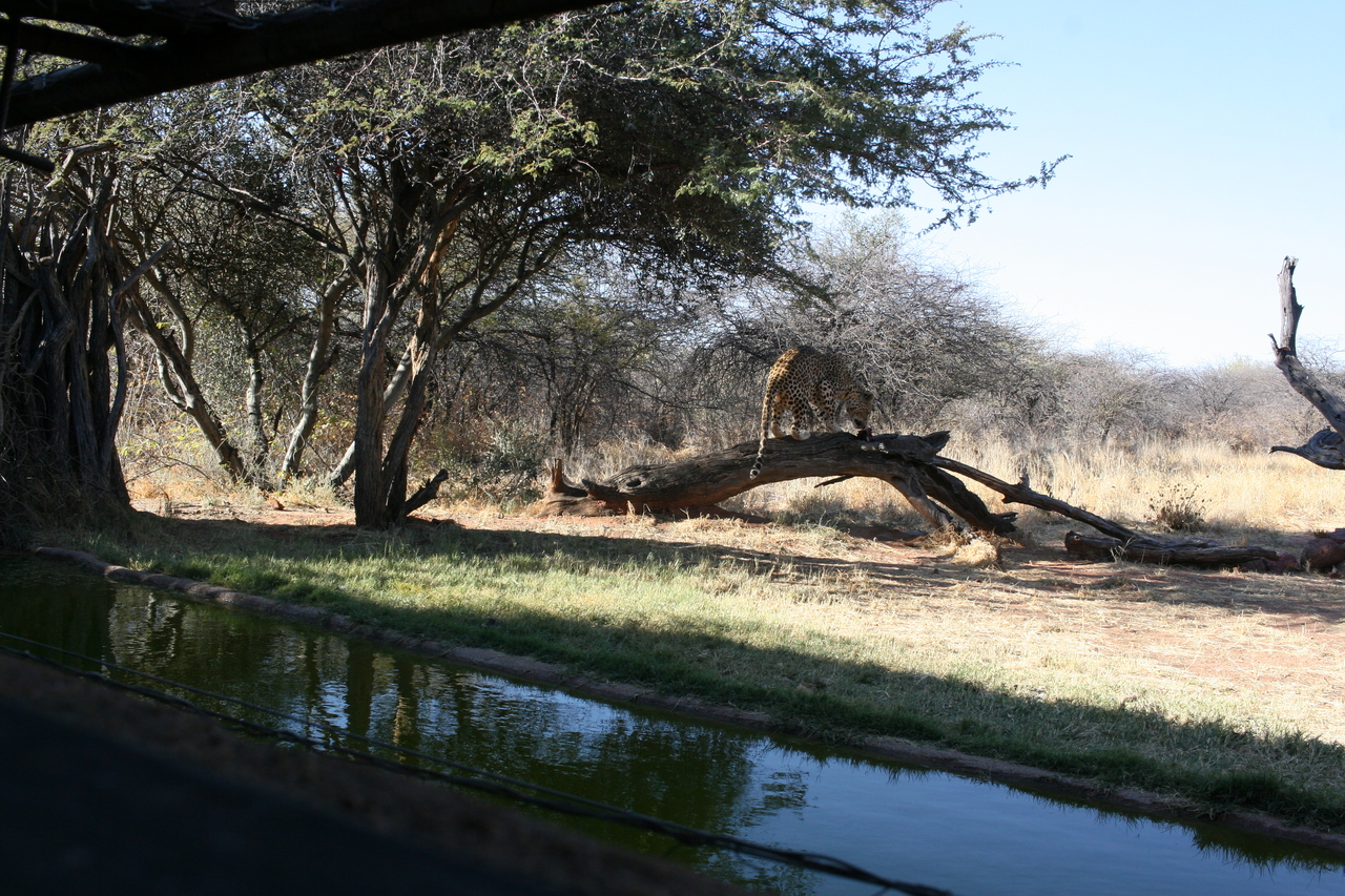 [5988] 2016_06_23_10_29_27_Africa_Canon_EOS_30D_IMG_1830_00274.jpg