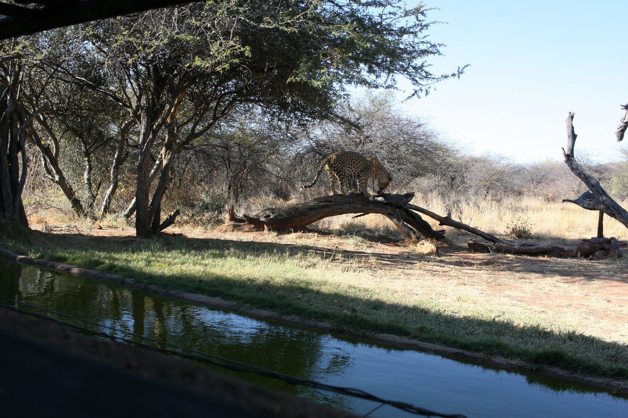 [5989] 2016_06_23_10_29_29_Africa_Canon_EOS_30D_IMG_1831_00096.jpg