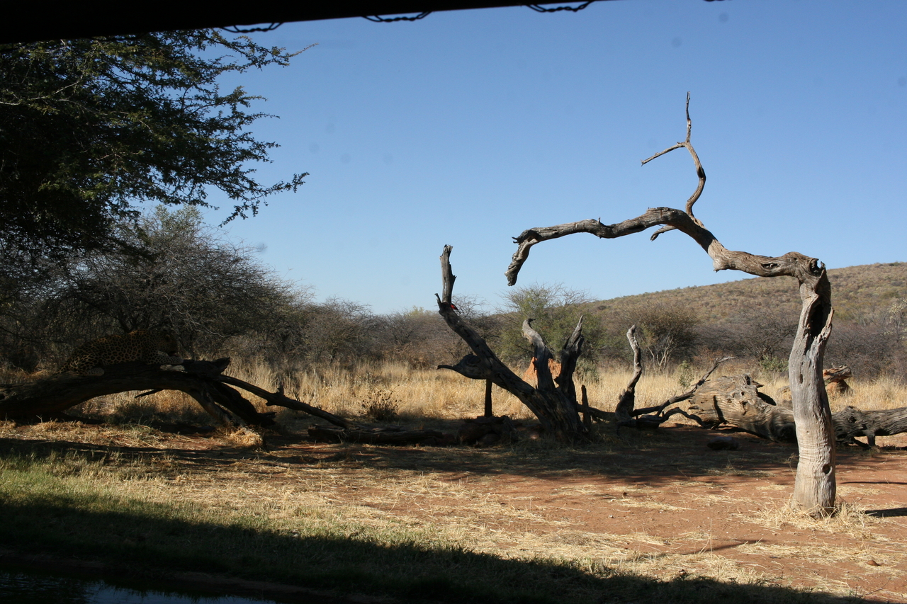 [6037] 2016_06_23_10_30_26_Africa_Canon_EOS_30D_IMG_1839_00104.jpg