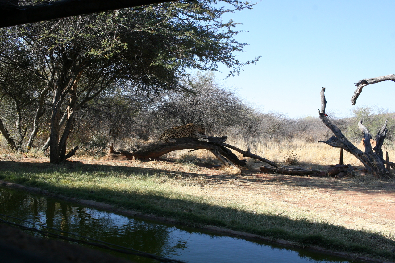 [6039] 2016_06_23_10_30_28_Africa_Canon_EOS_30D_IMG_1840_00105.jpg