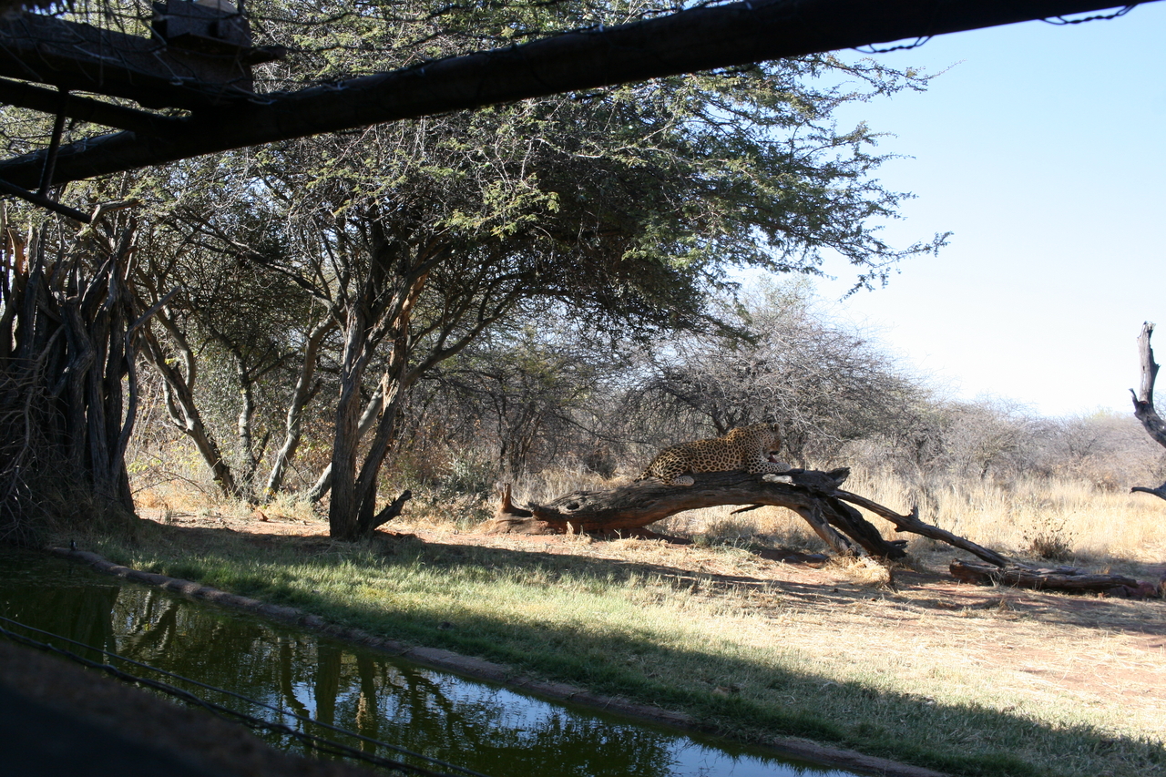 [6049] 2016_06_23_10_31_23_Africa_Canon_EOS_30D_IMG_1843_00287.jpg