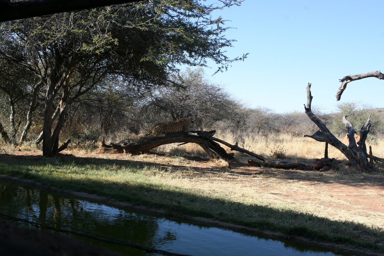 [6064] 2016_06_23_10_32_00_Africa_Canon_EOS_30D_IMG_1845_00110.jpg
