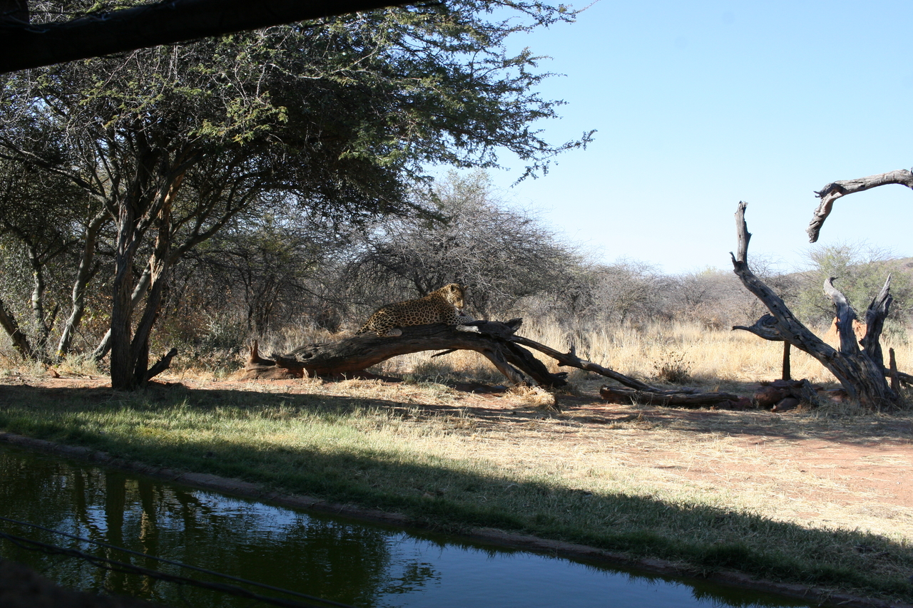 [6094] 2016_06_23_10_32_39_Africa_Canon_EOS_30D_IMG_1848_00113.jpg