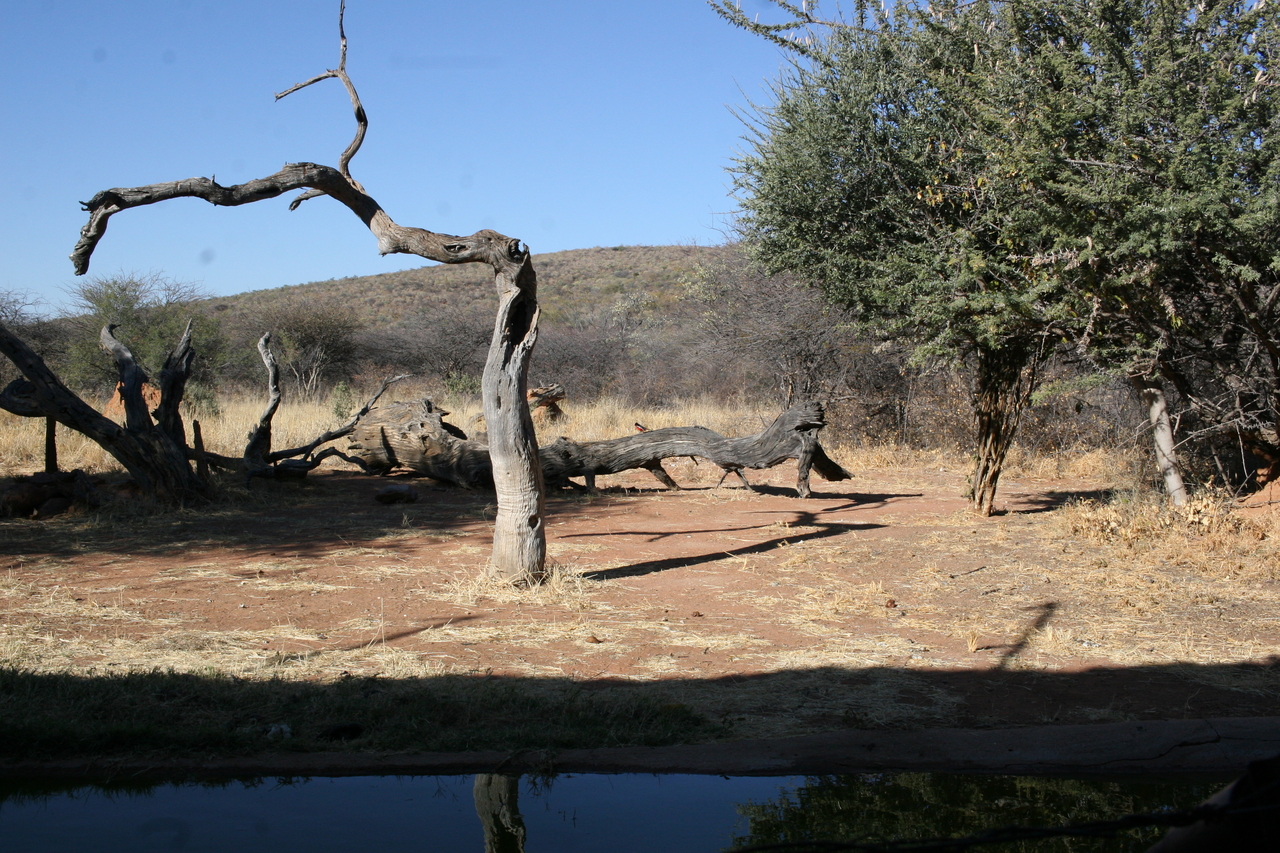 [6098] 2016_06_23_10_33_11_Africa_Canon_EOS_30D_IMG_1850_00115.jpg