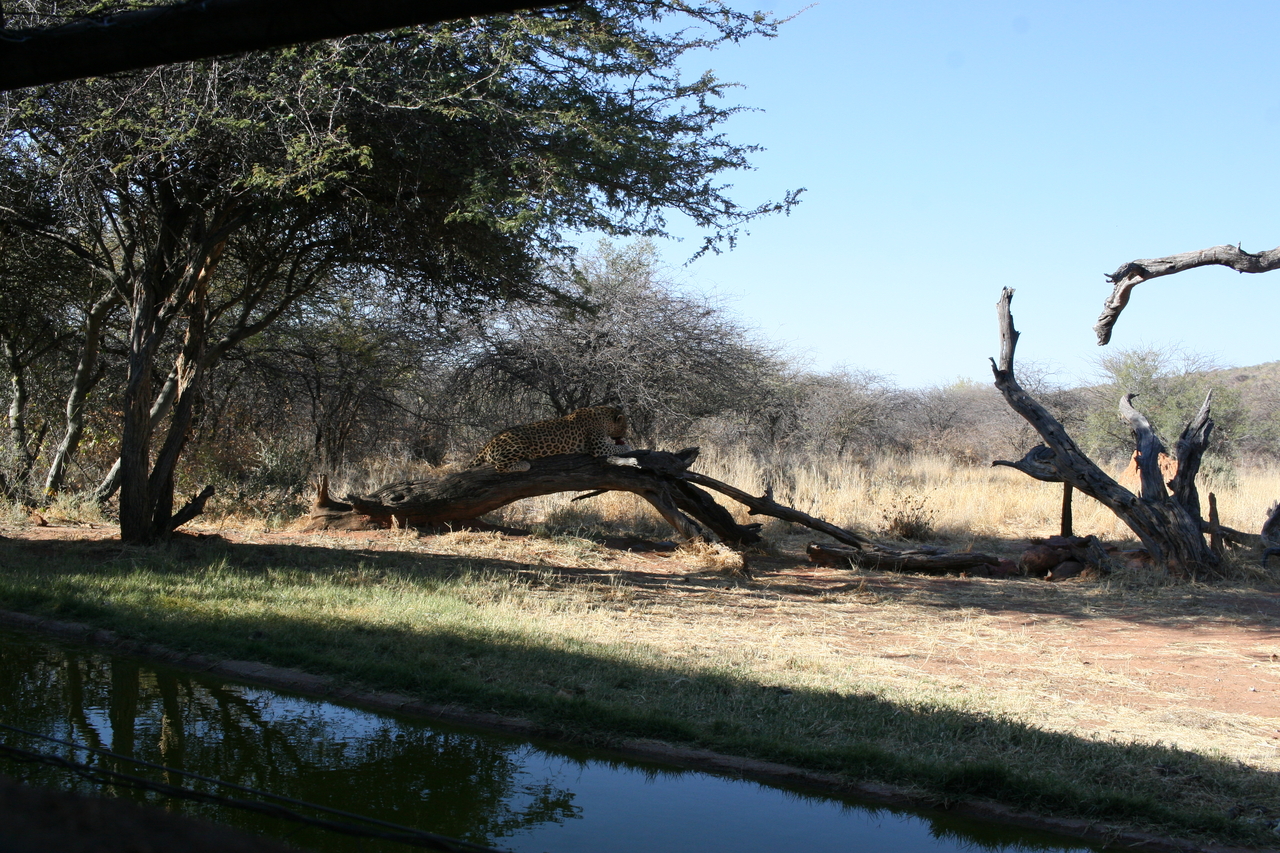 [6100] 2016_06_23_10_33_25_Africa_Canon_EOS_30D_IMG_1851_00116.jpg