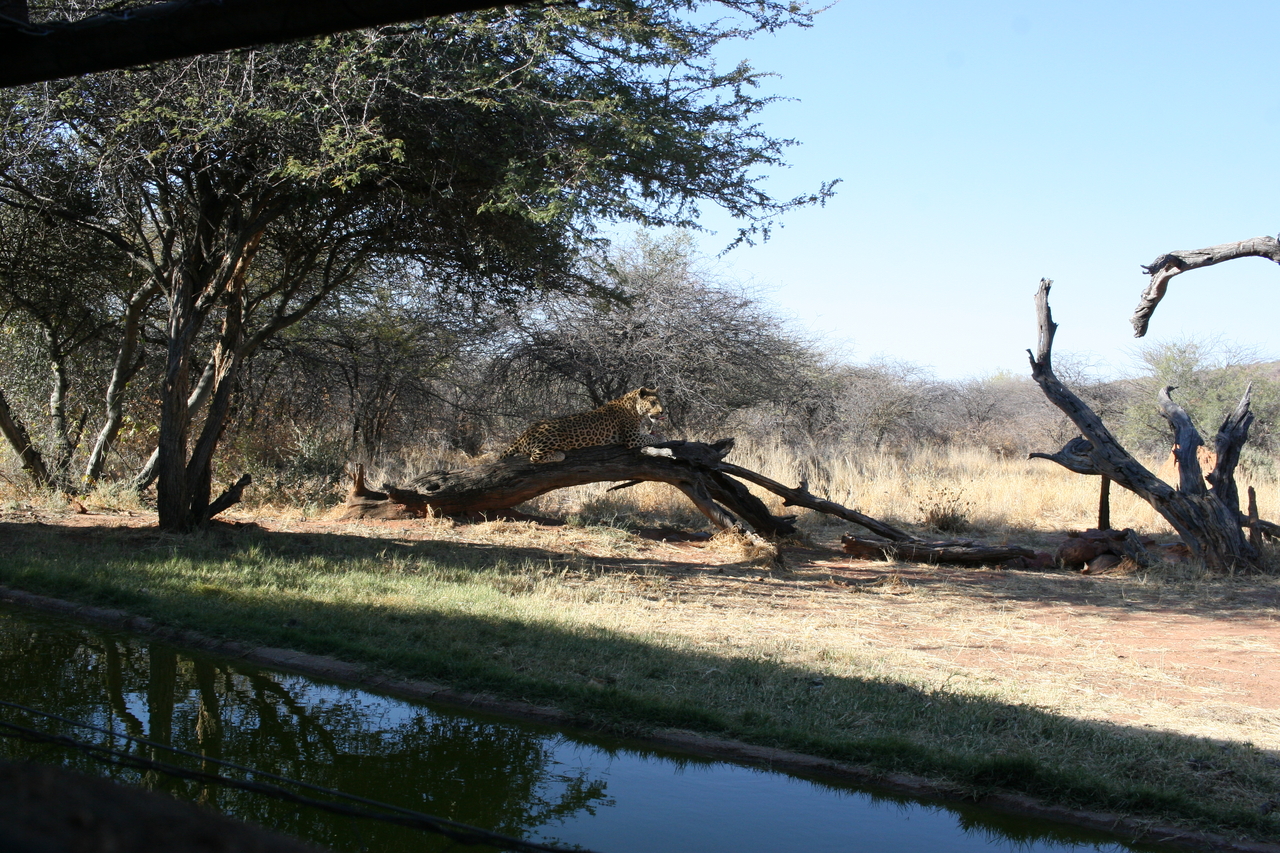 [6105] 2016_06_23_10_36_36_Africa_Canon_EOS_30D_IMG_1853_00297.jpg