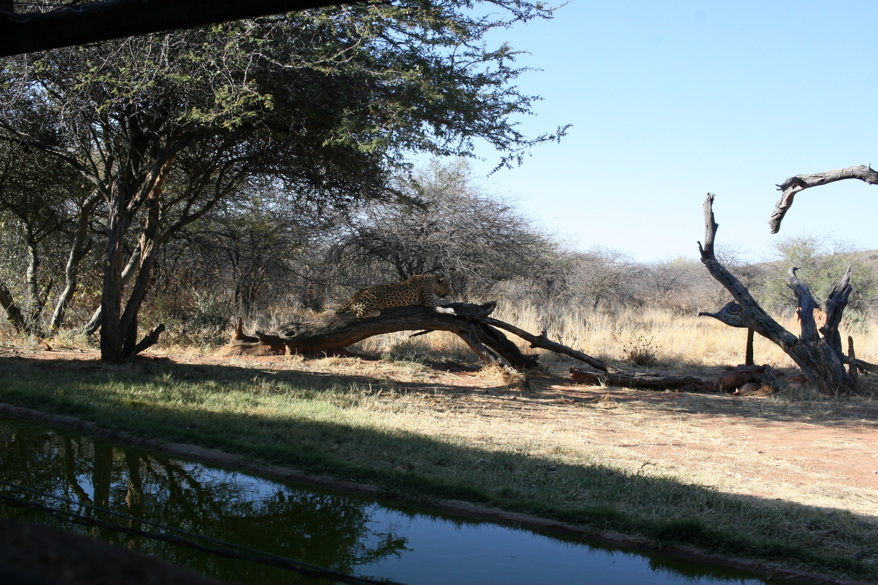 [6108] 2016_06_23_10_37_26_Africa_Canon_EOS_30D_IMG_1855_00120.jpg