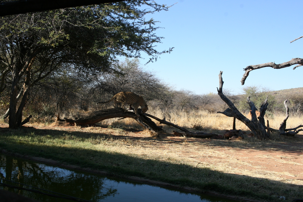 [6115] 2016_06_23_10_37_59_Africa_Canon_EOS_30D_IMG_1858_00302.jpg
