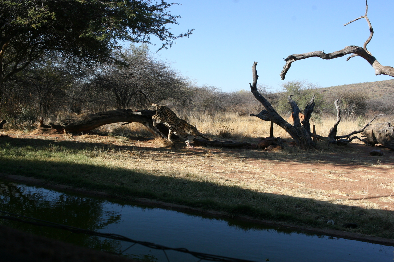 [6121] 2016_06_23_10_38_01_Africa_Canon_EOS_30D_IMG_1861_00305.jpg