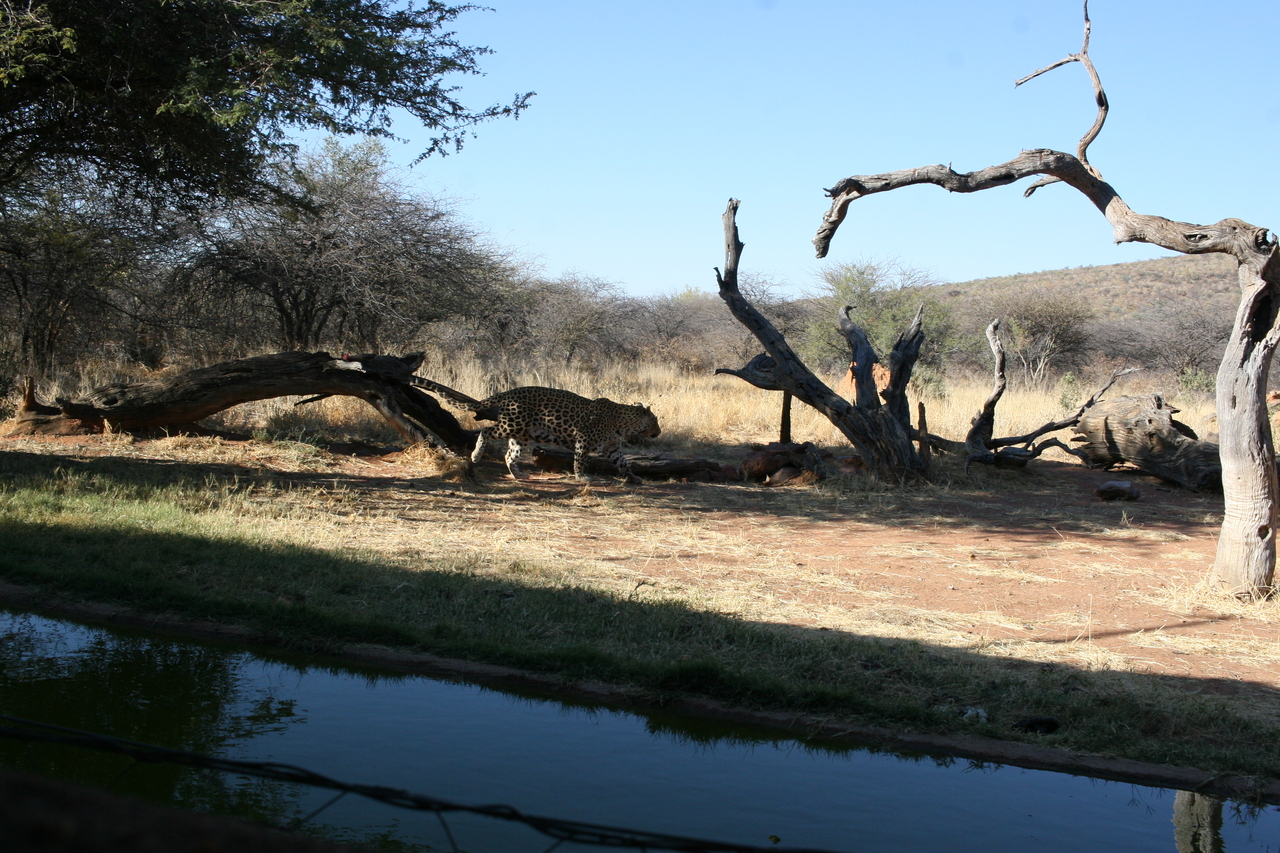 [6123] 2016_06_23_10_38_02_Africa_Canon_EOS_30D_IMG_1862_00306.jpg