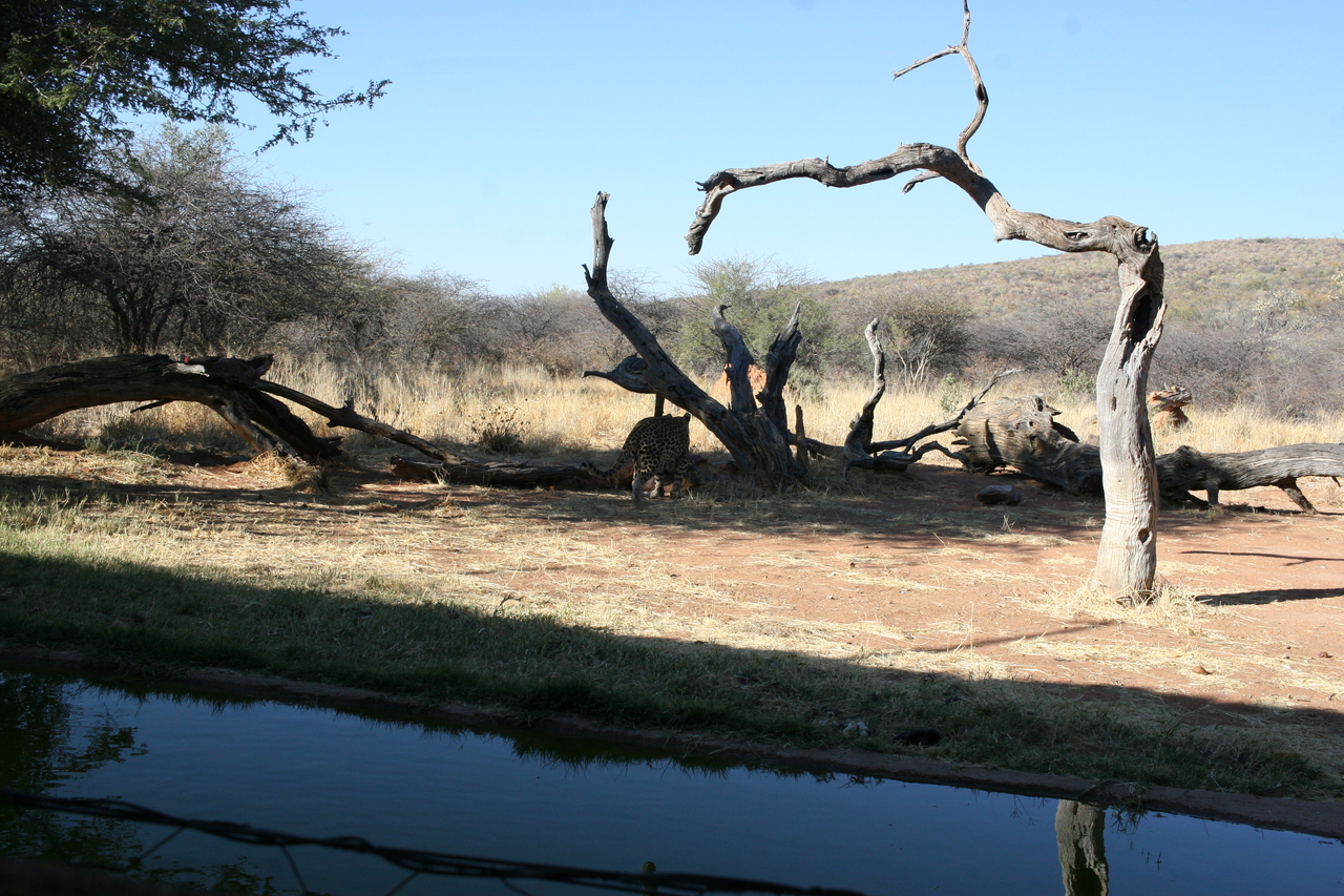 [6124] 2016_06_23_10_38_07_Africa_Canon_EOS_30D_IMG_1863_00128.jpg