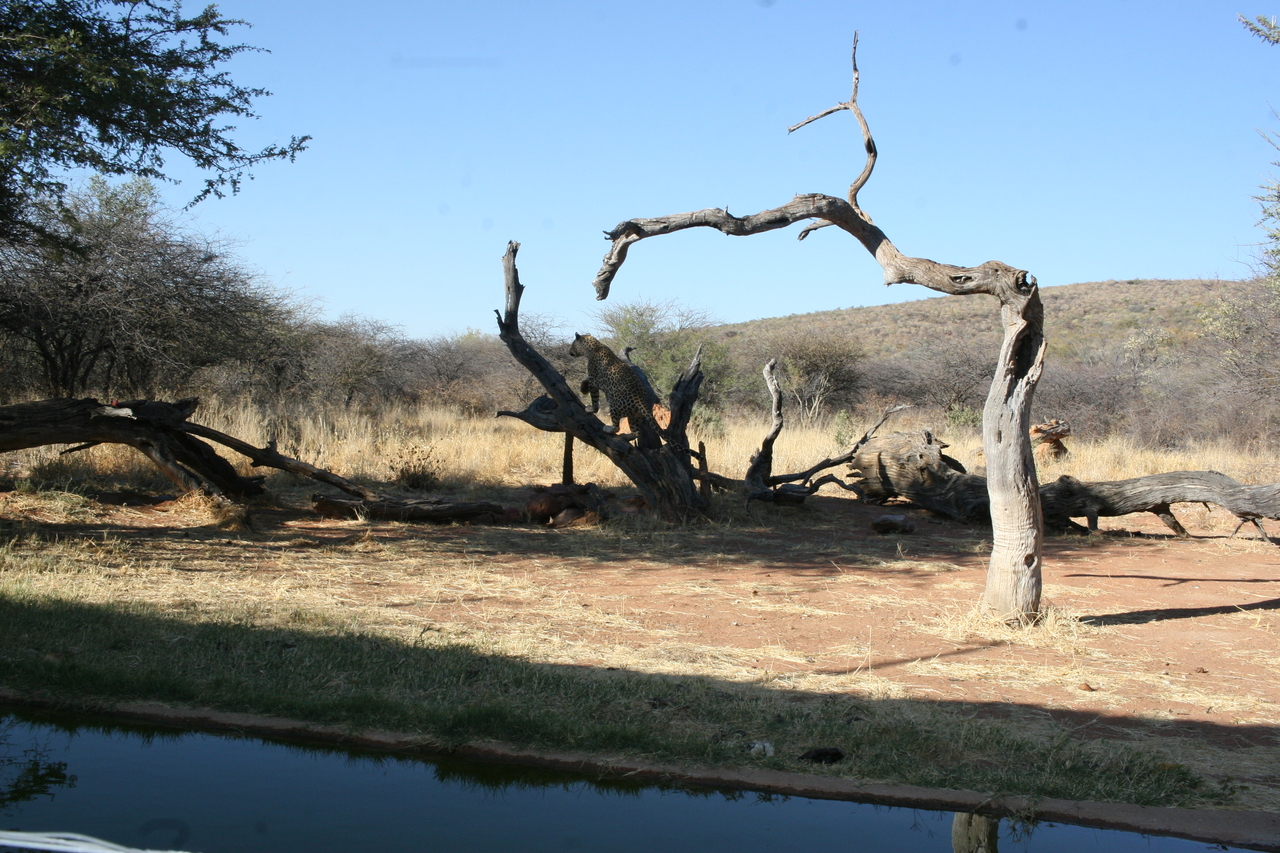 [6132] 2016_06_23_10_38_28_Africa_Canon_EOS_30D_IMG_1867_00132.jpg