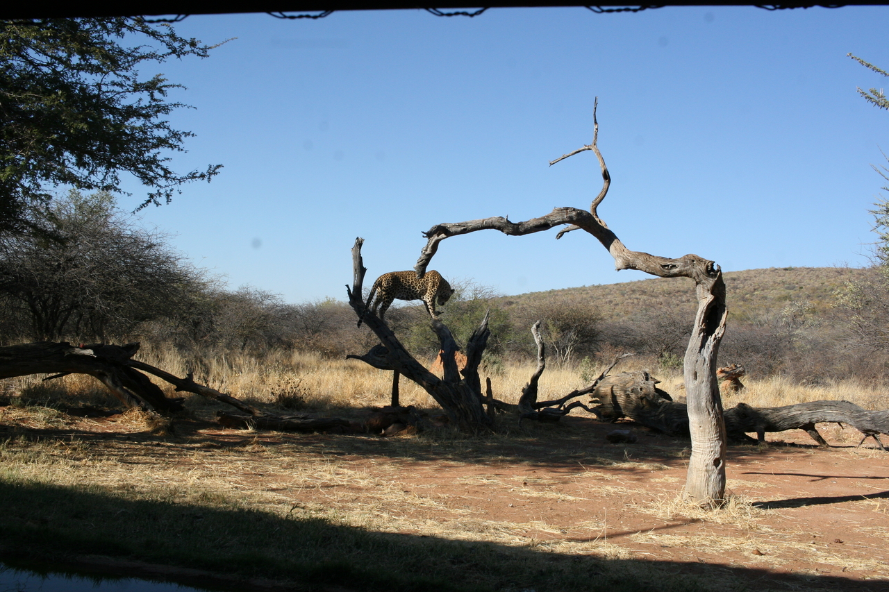 [6140] 2016_06_23_10_38_41_Africa_Canon_EOS_30D_IMG_1871_00136.jpg