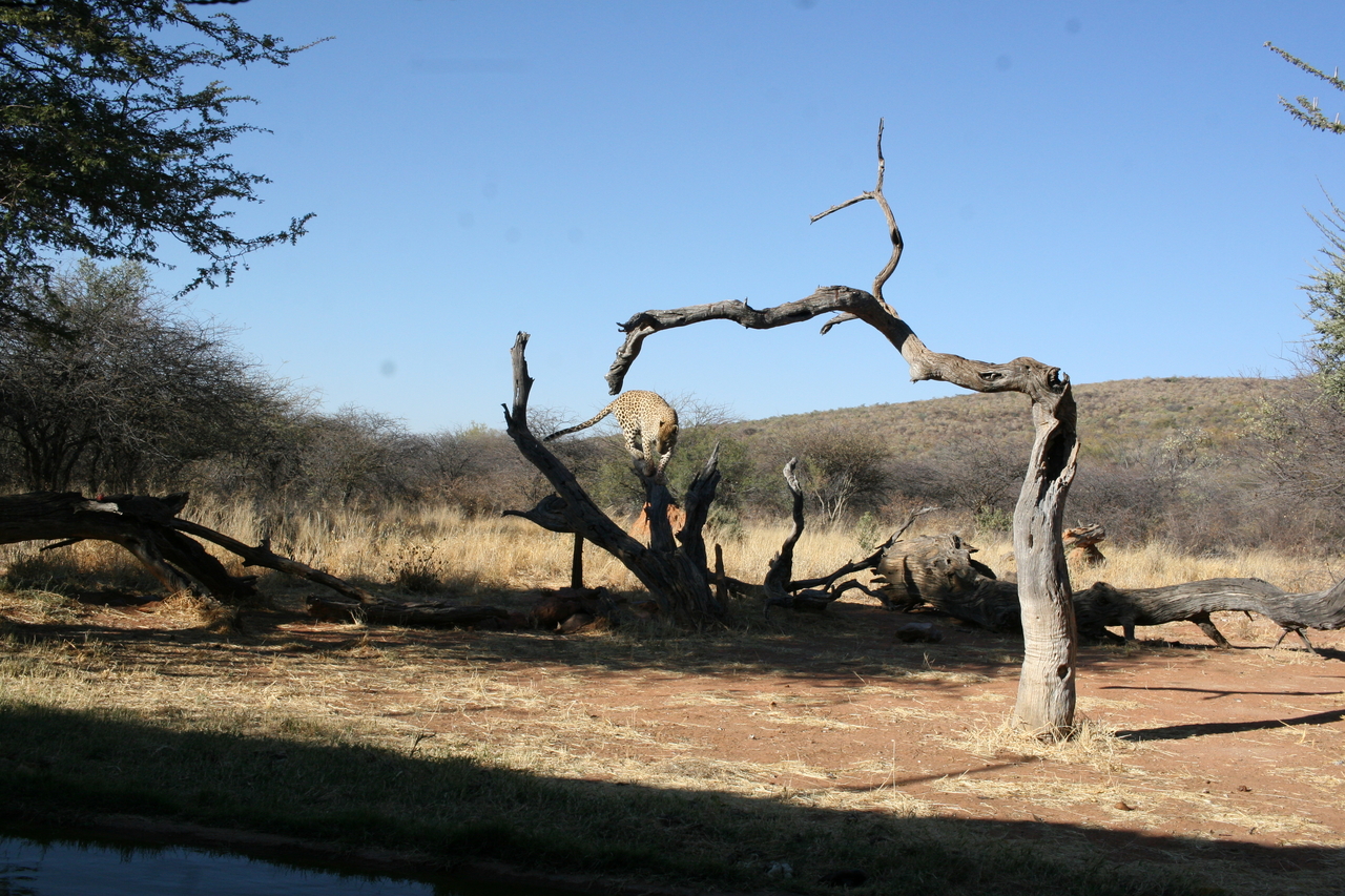 [6146] 2016_06_23_10_38_49_Africa_Canon_EOS_30D_IMG_1874_00139.jpg