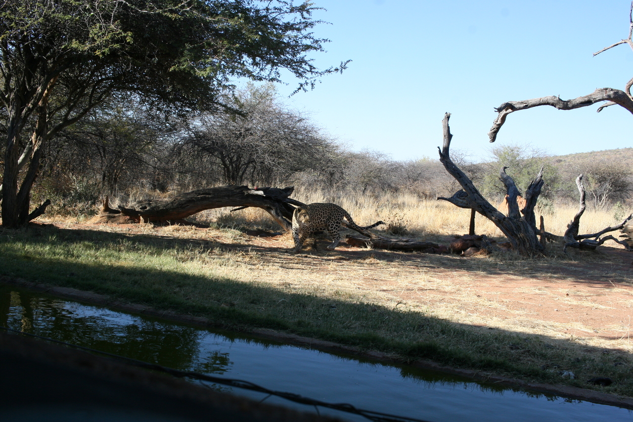 [6154] 2016_06_23_10_39_16_Africa_Canon_EOS_30D_IMG_1878_00143.jpg