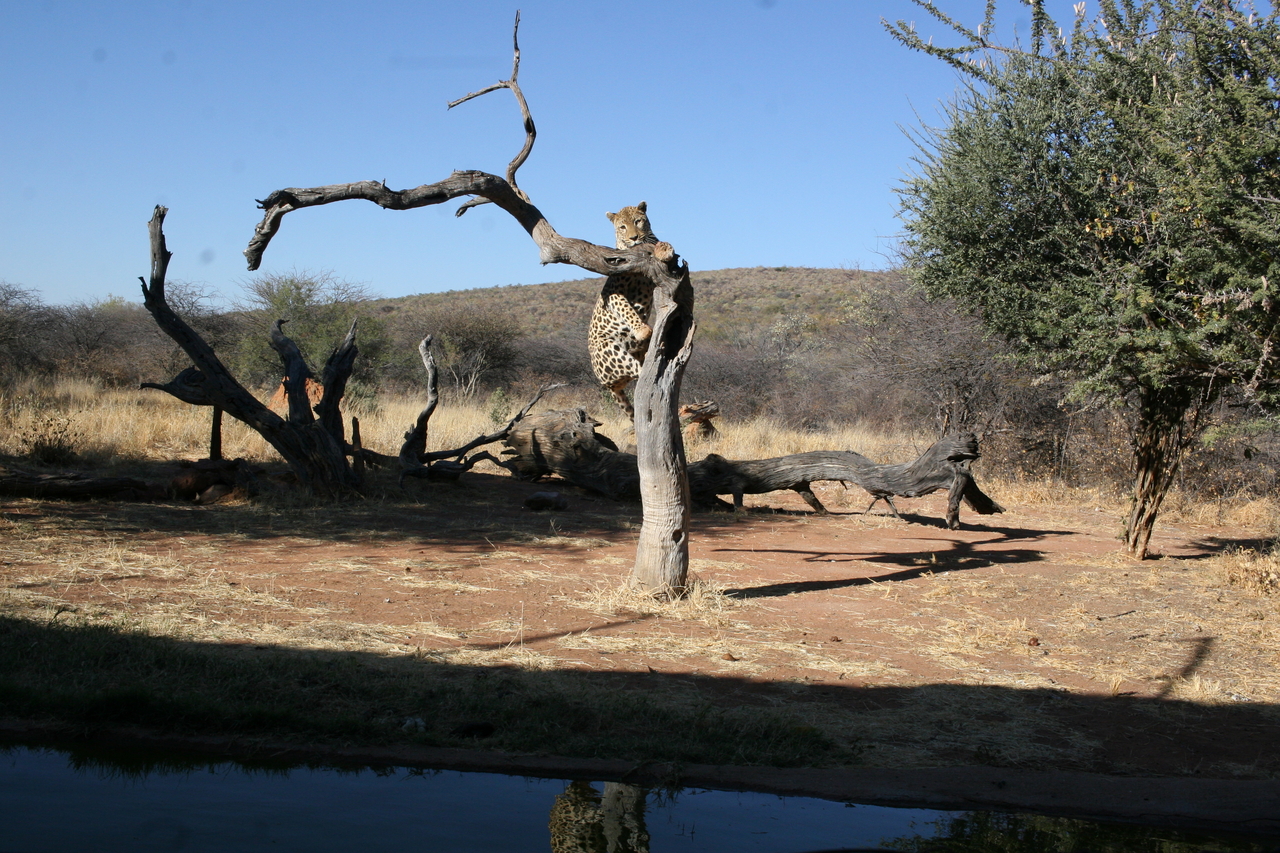 [6158] 2016_06_23_10_39_26_Africa_Canon_EOS_30D_IMG_1880_00145.jpg
