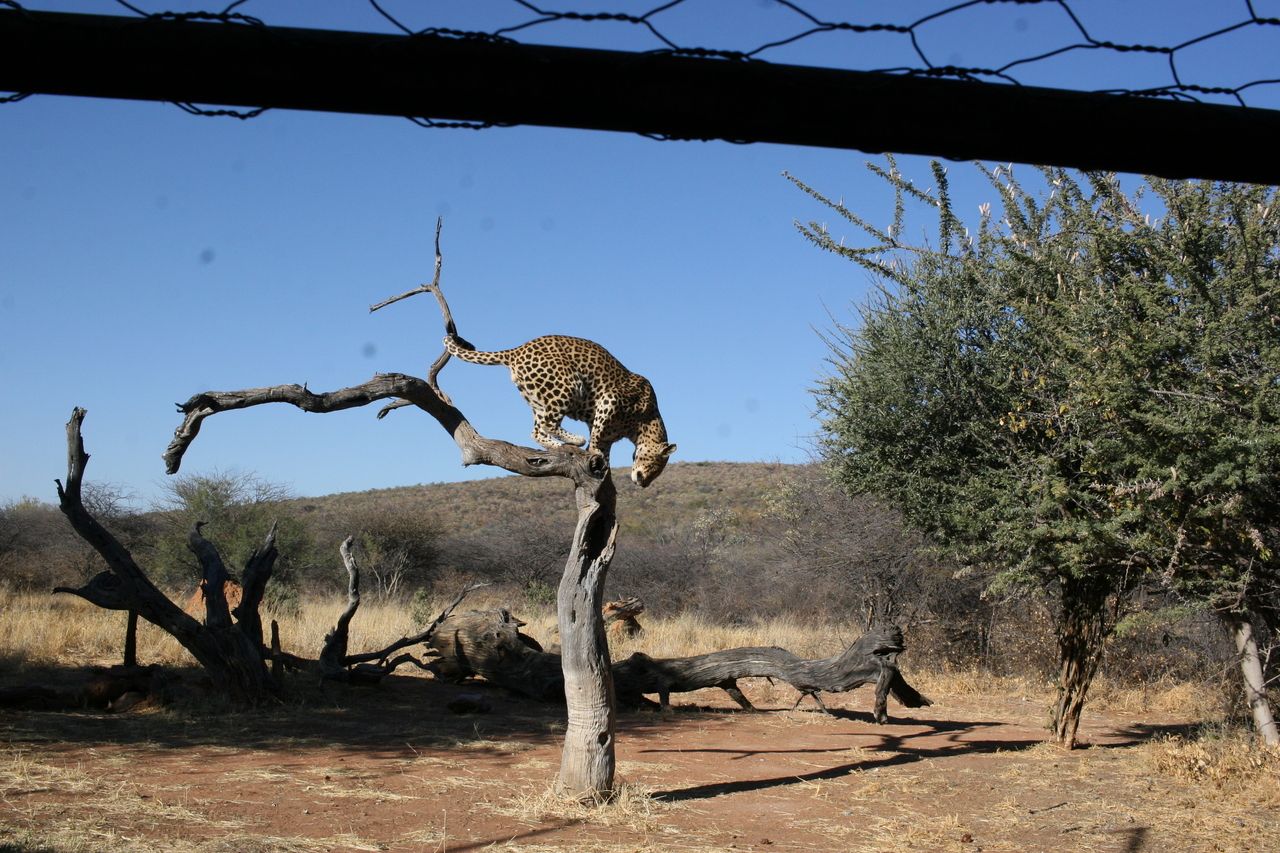 [6166] 2016_06_23_10_39_40_Africa_Canon_EOS_30D_IMG_1884_00149.jpg