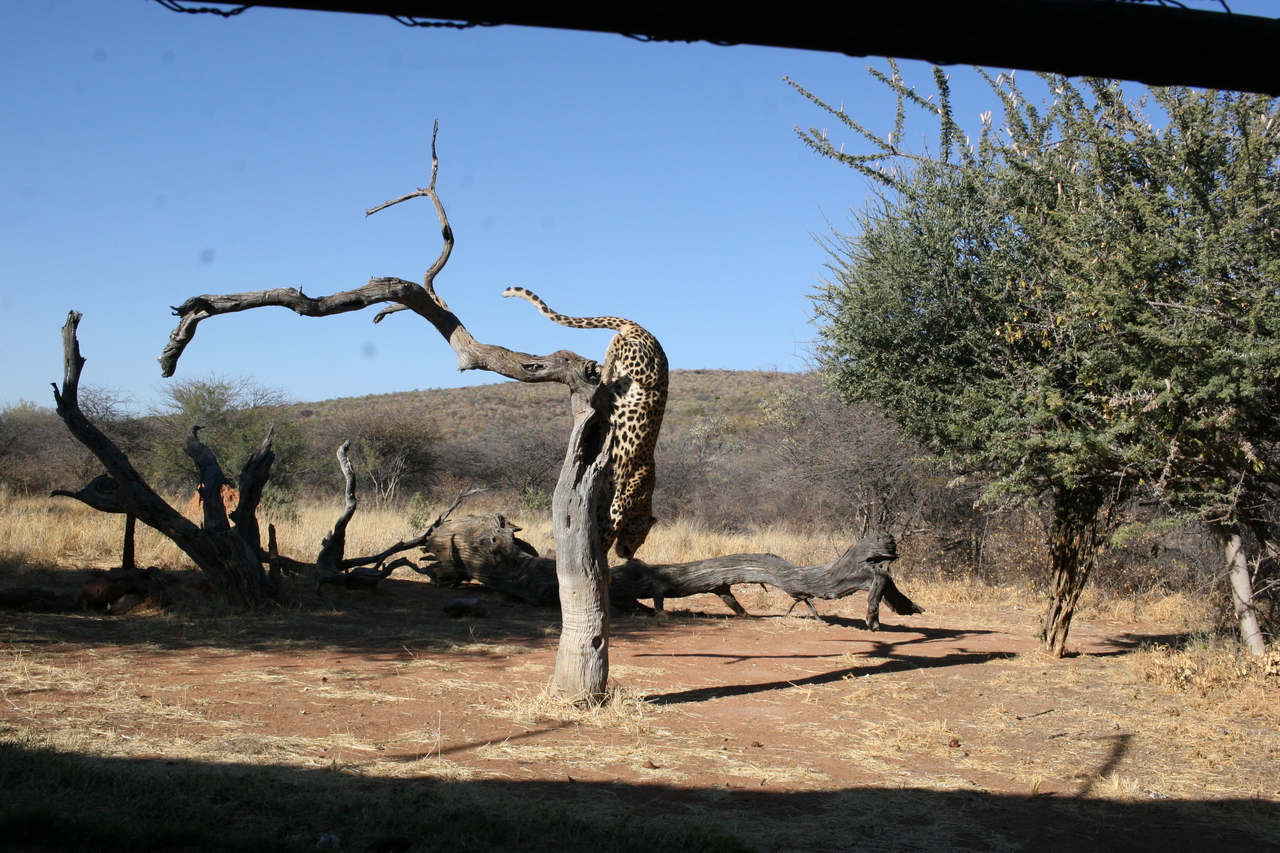 [6168] 2016_06_23_10_39_42_Africa_Canon_EOS_30D_IMG_1885_00150.jpg