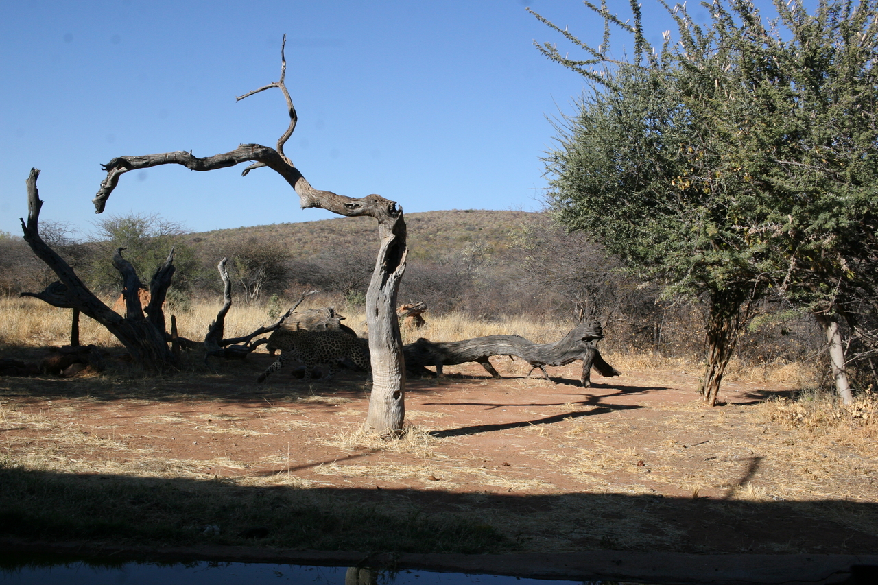 [6175] 2016_06_23_10_40_07_Africa_Canon_EOS_30D_IMG_1888_00332.jpg